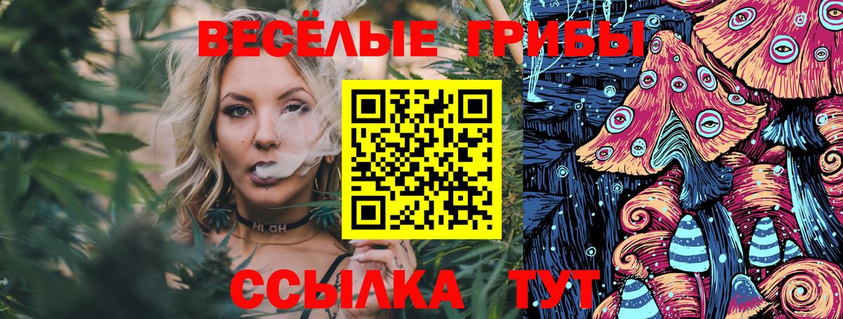 Галлюциногенные грибы Psilocybe  Галлюциногенные грибы Cubensis  как найти закладки  Вход с VPN  Новодвинск 